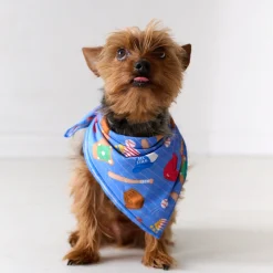 Full Family Matching|Family Matching<Little Sleepies Pet Bandana All Stars
