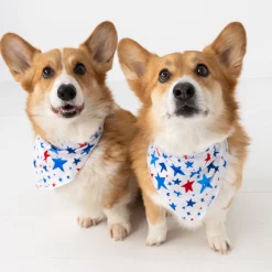Full Family Matching|Family Matching<Little Sleepies Pet Bandana Bright Stars