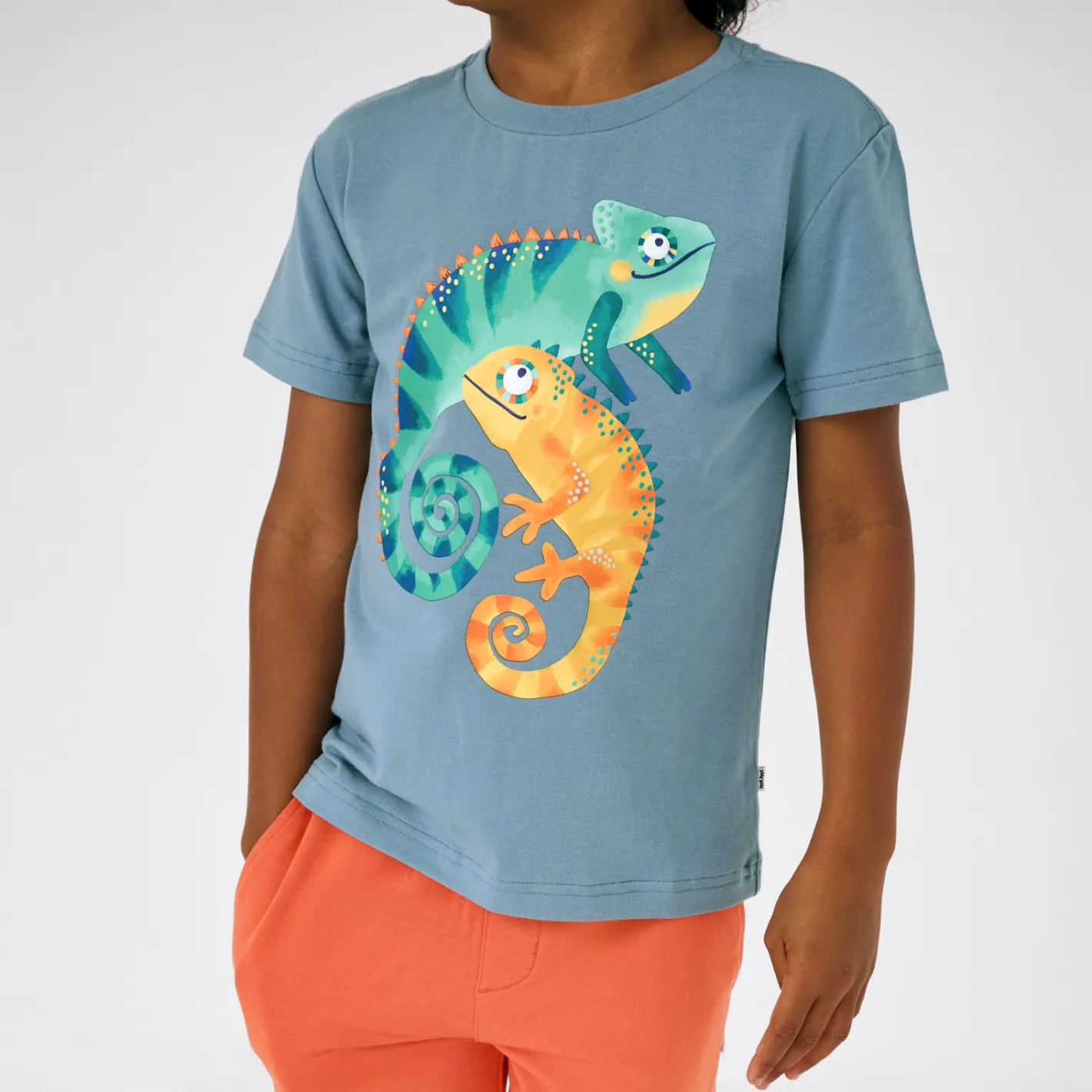 Tops & Tees|Tops & Tees<Little Sleepies Relaxed Tee Chameleon
