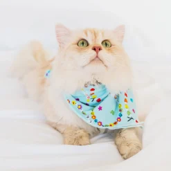 Full Family Matching|Family Matching<Little Sleepies Pet Bandana Friends Forever