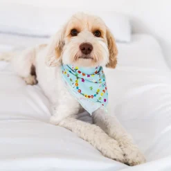 Full Family Matching|Family Matching<Little Sleepies Pet Bandana Friends Forever